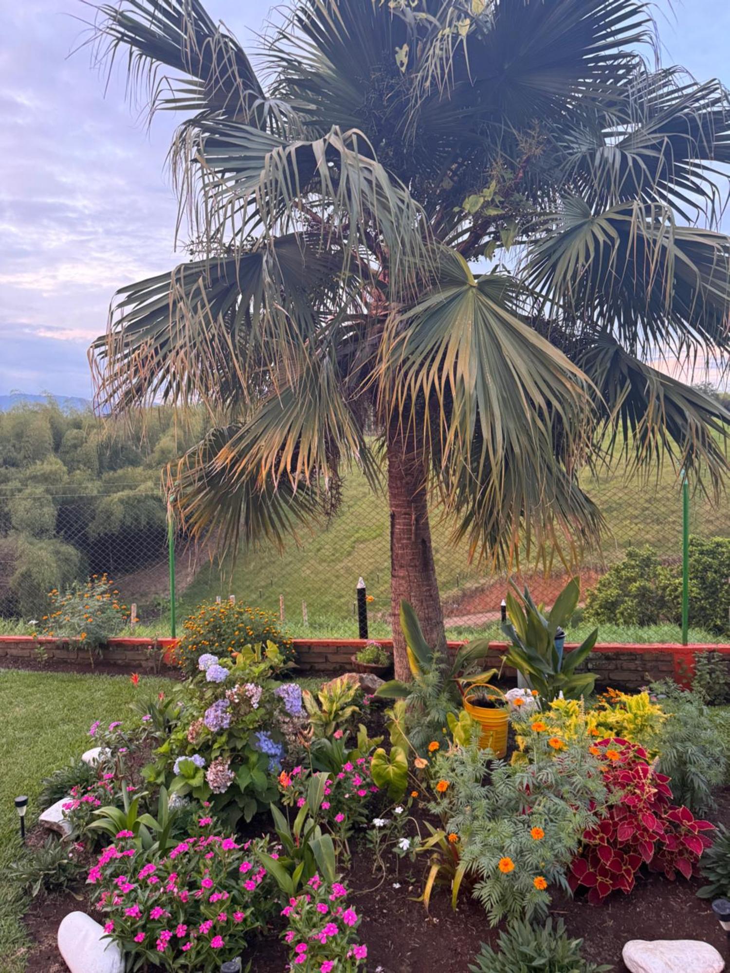 Finca La Gaviota Монтенегро Екстер'єр фото